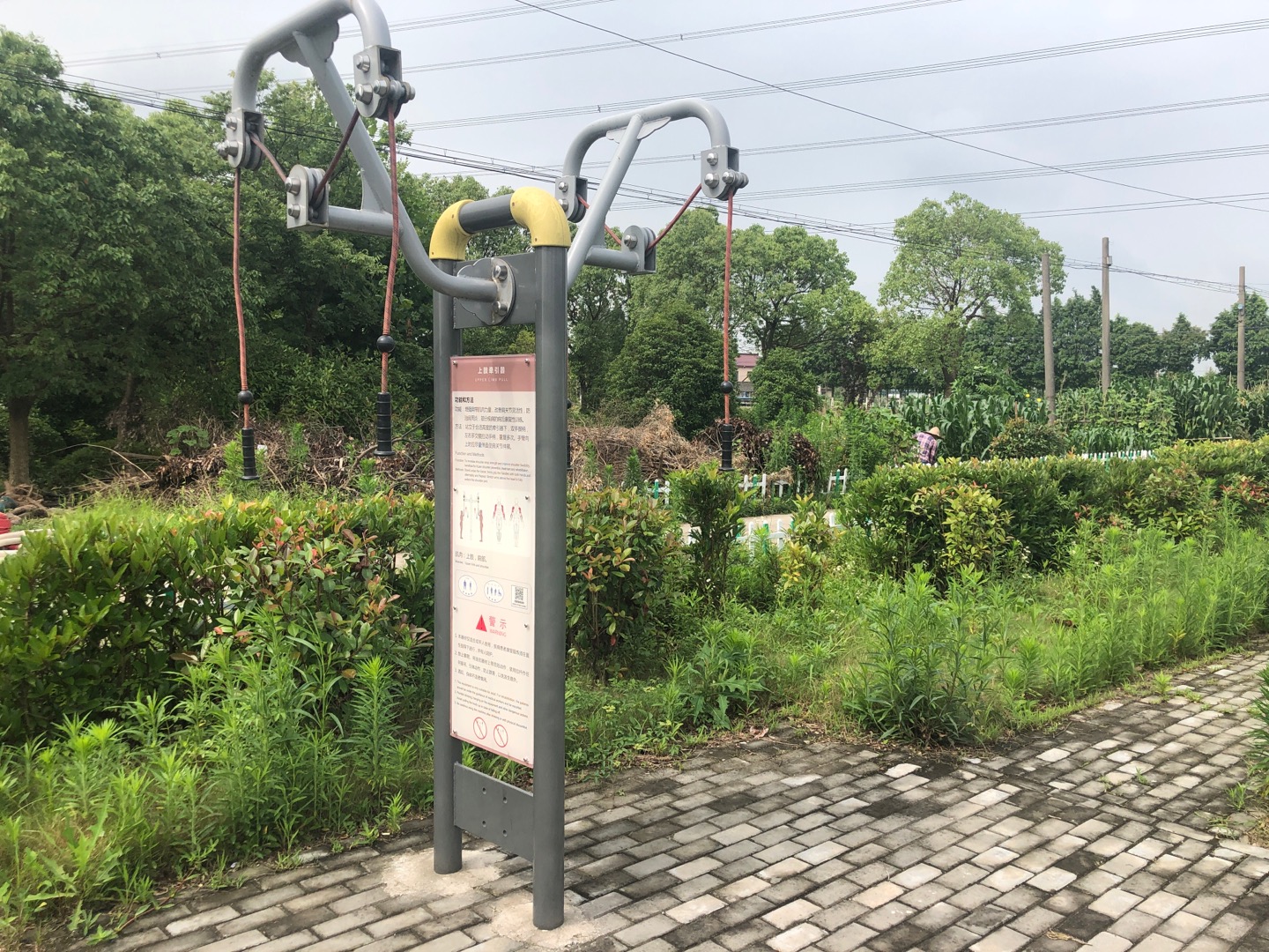 ��֫ǣ����