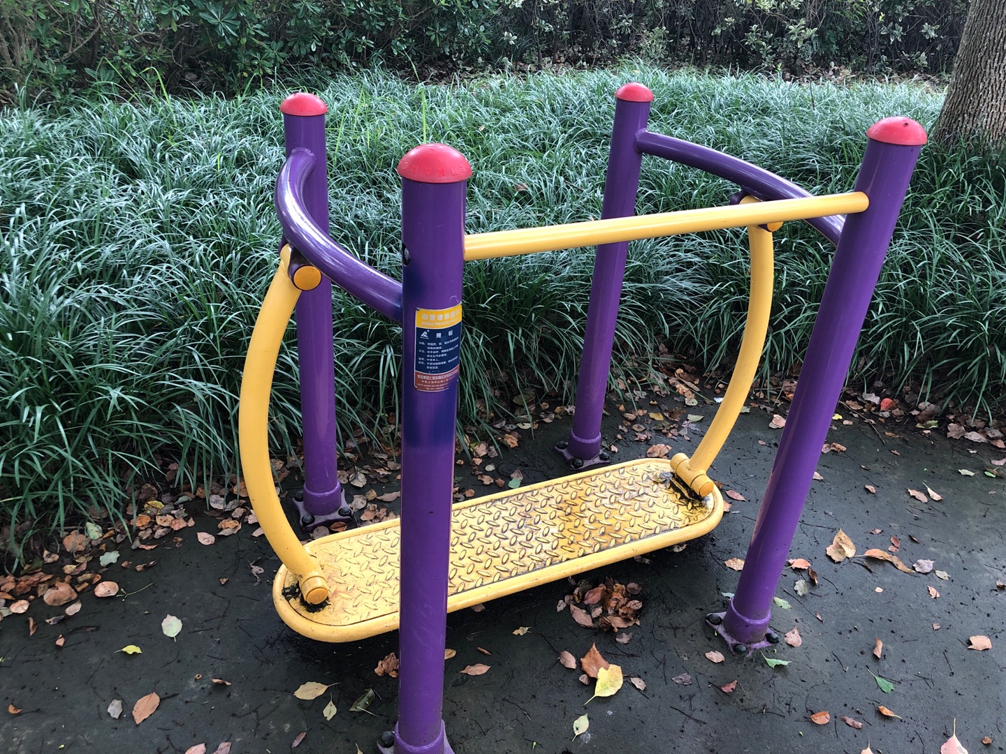 �ΰ彡����