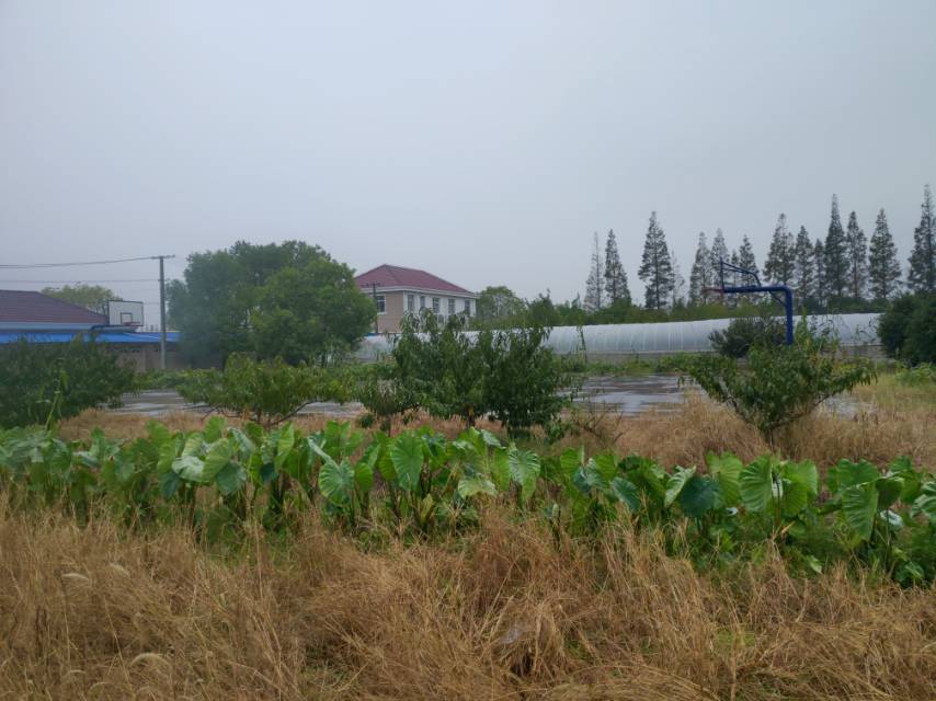 ˫��彡������3