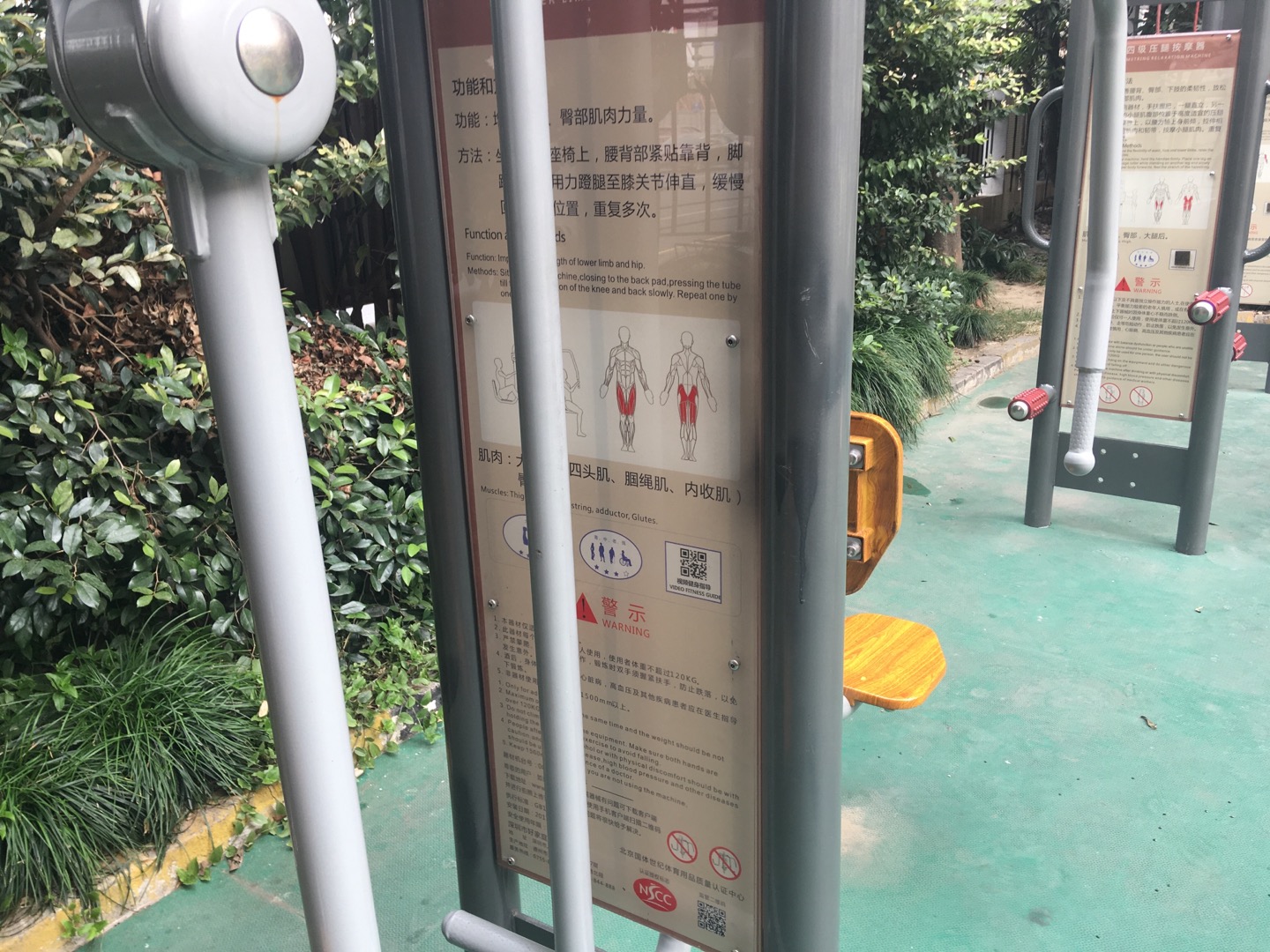 ����֫ѵ����