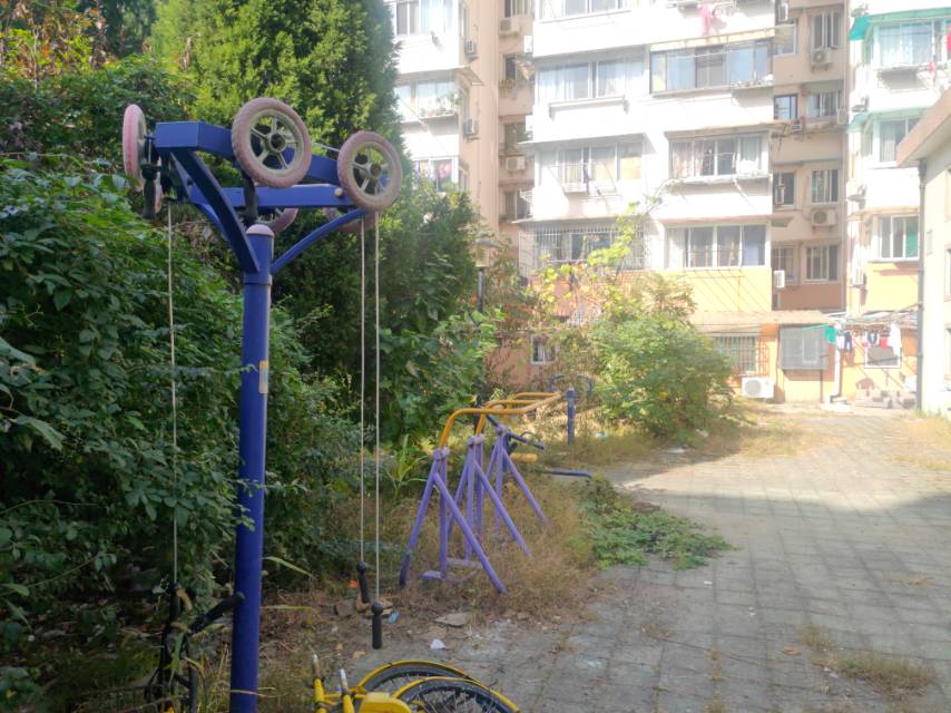 ����100֧Ū20��С��԰