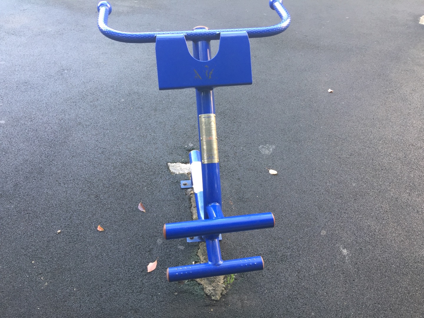 ����ѵ����