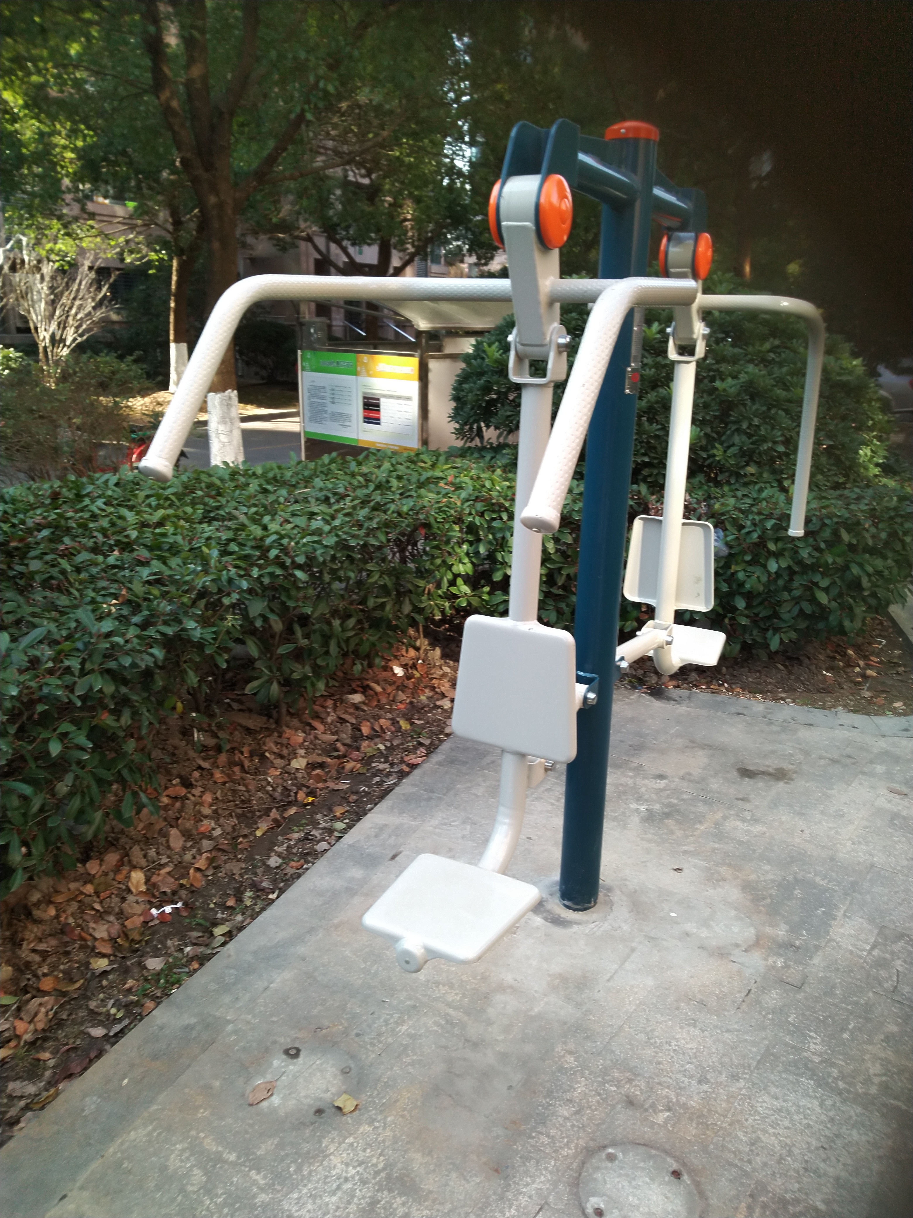 ����ѵ����