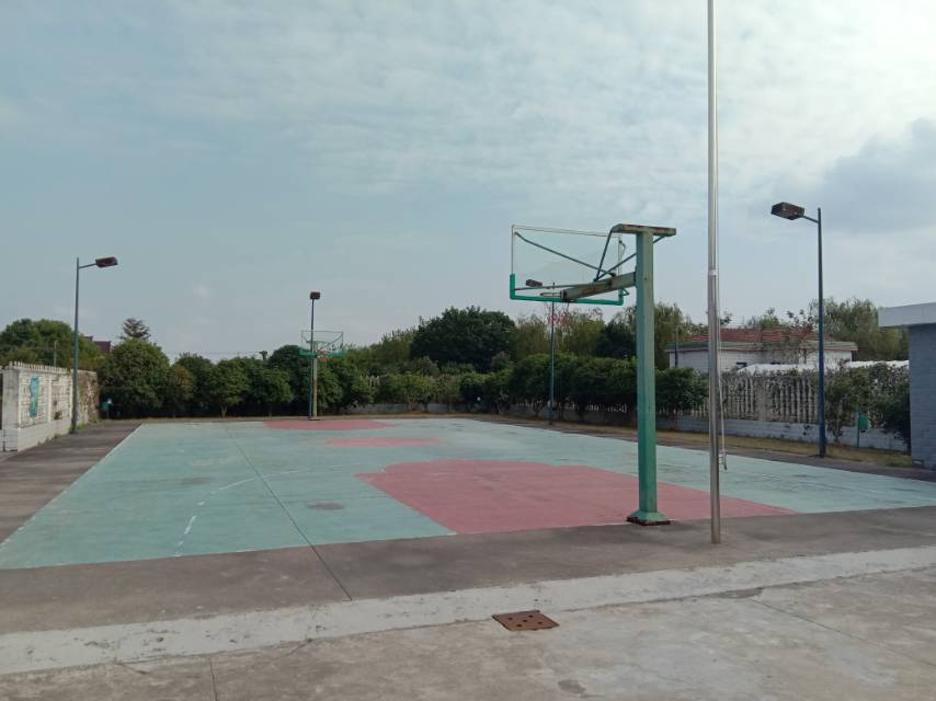 ͬ�Ĵ�ũ��������