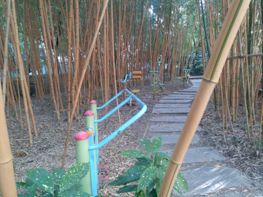 ����52֧Ū10��С��԰