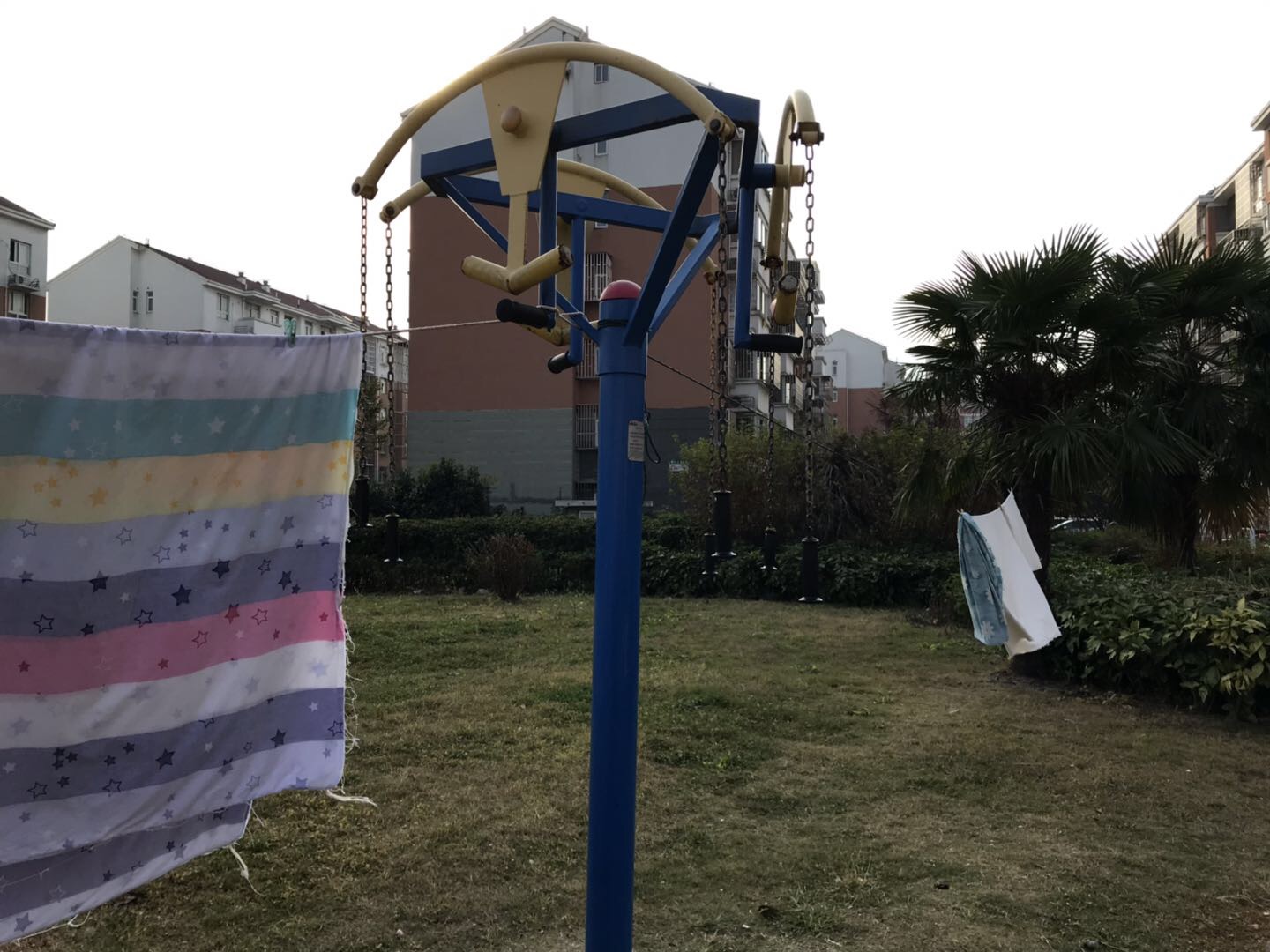 ��֫ǣ����