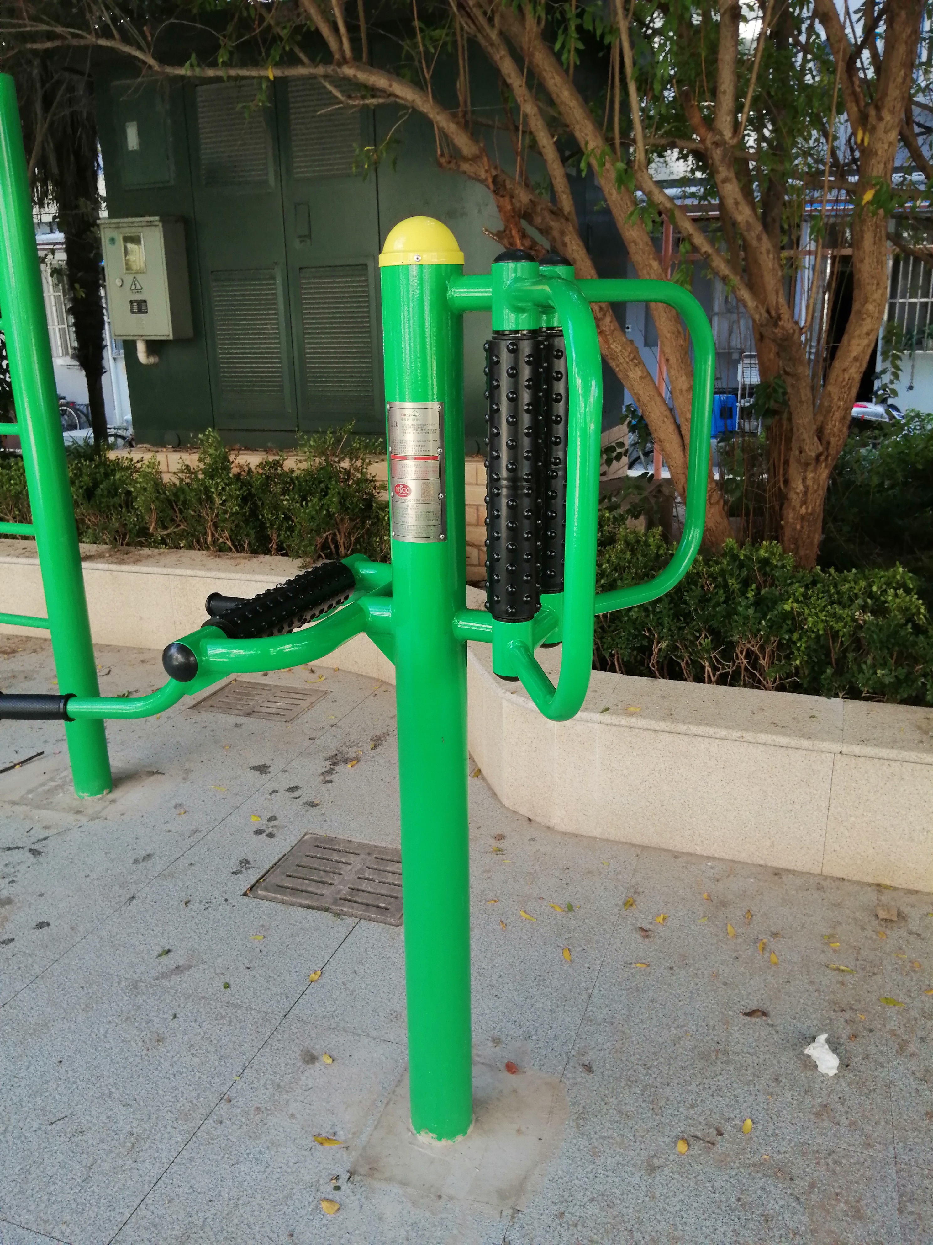 ������Ħ��