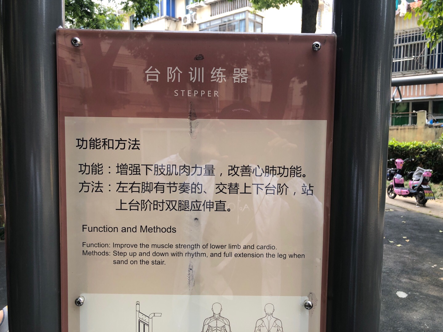 ̨��ѵ����