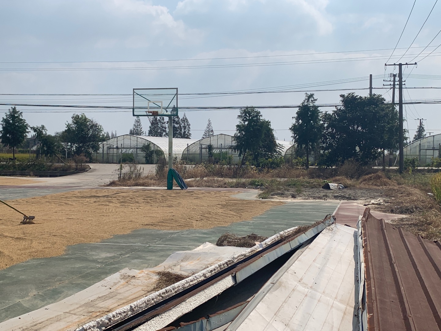 �������ڽ���ũ��������