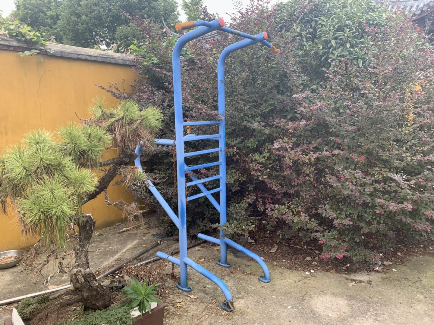 �๦��ѵ����