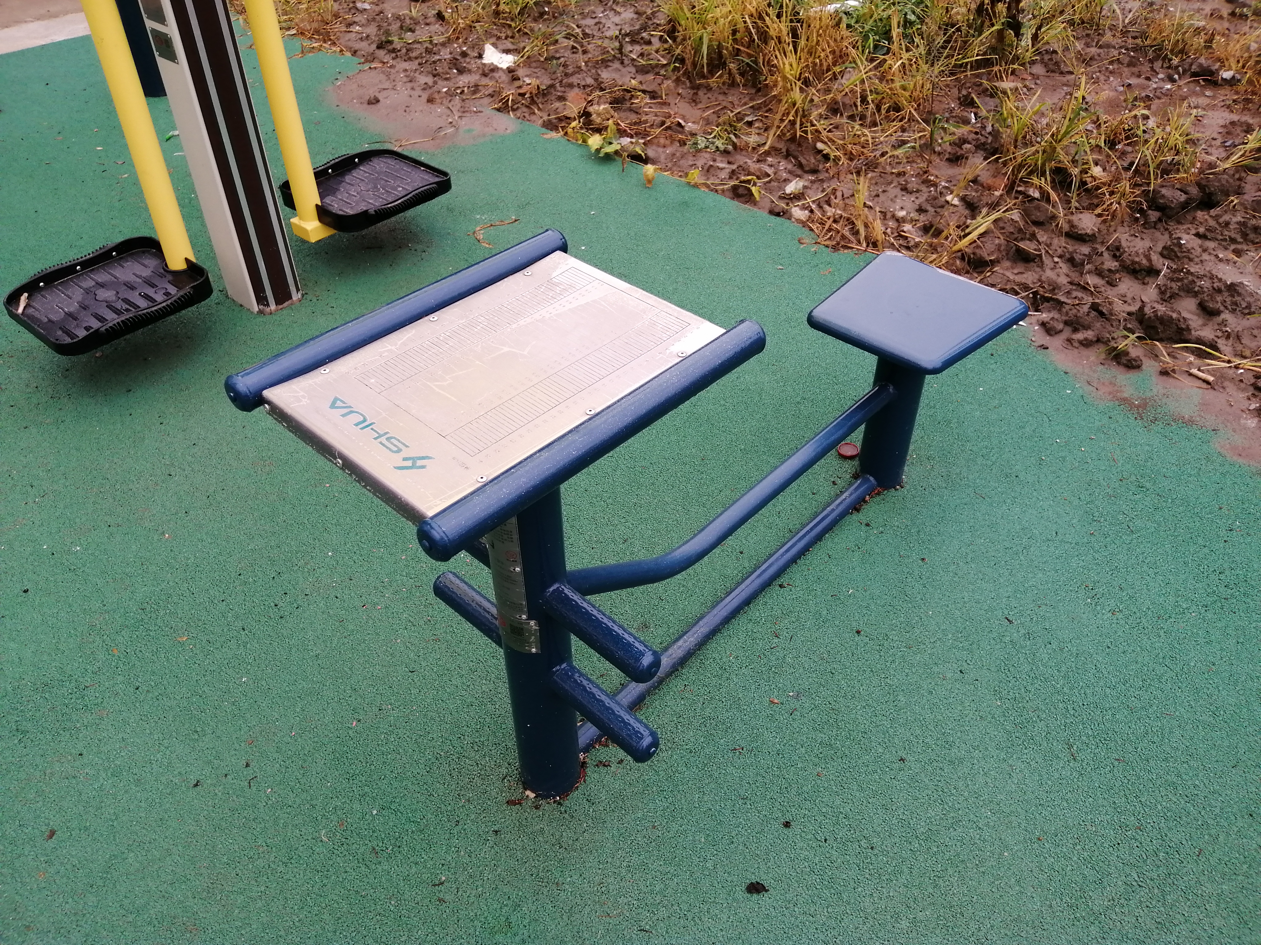 ����ѵ����