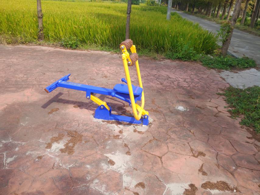 ��������ѵ����