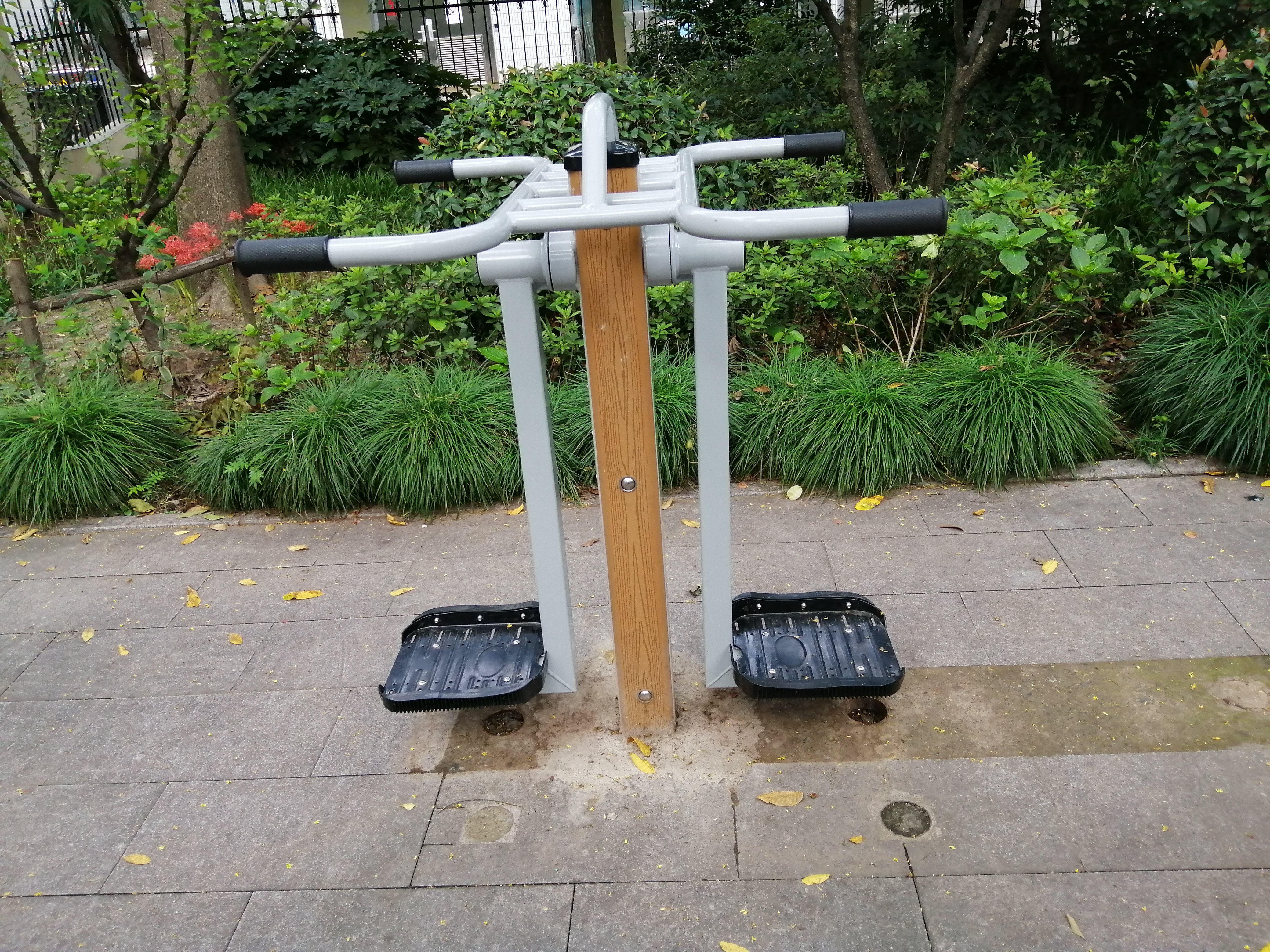 ˫λ�Ӱ�ѵ����