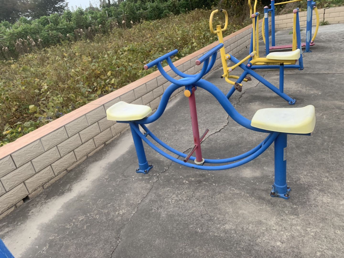 ��֫������