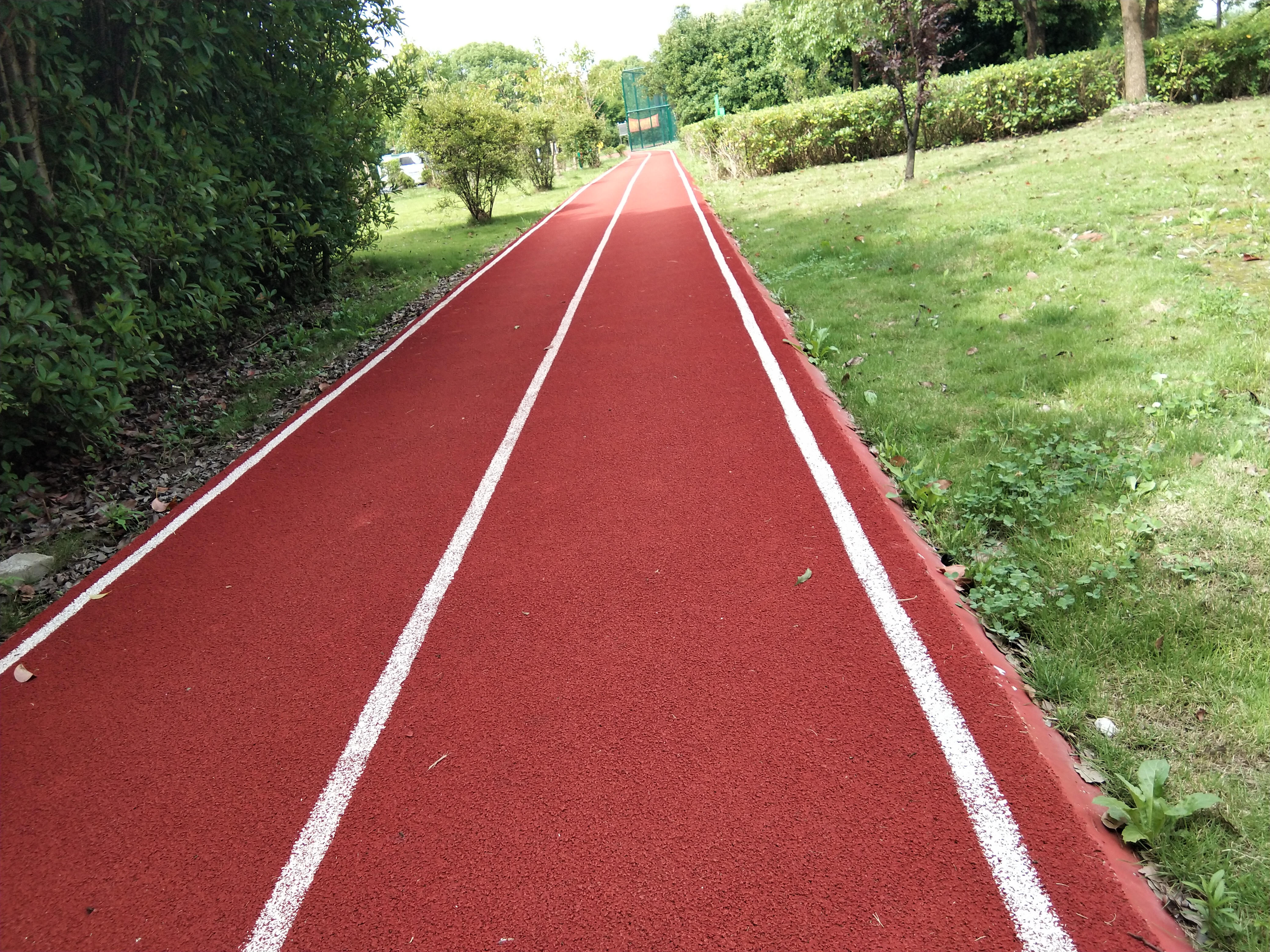 ����Է����������