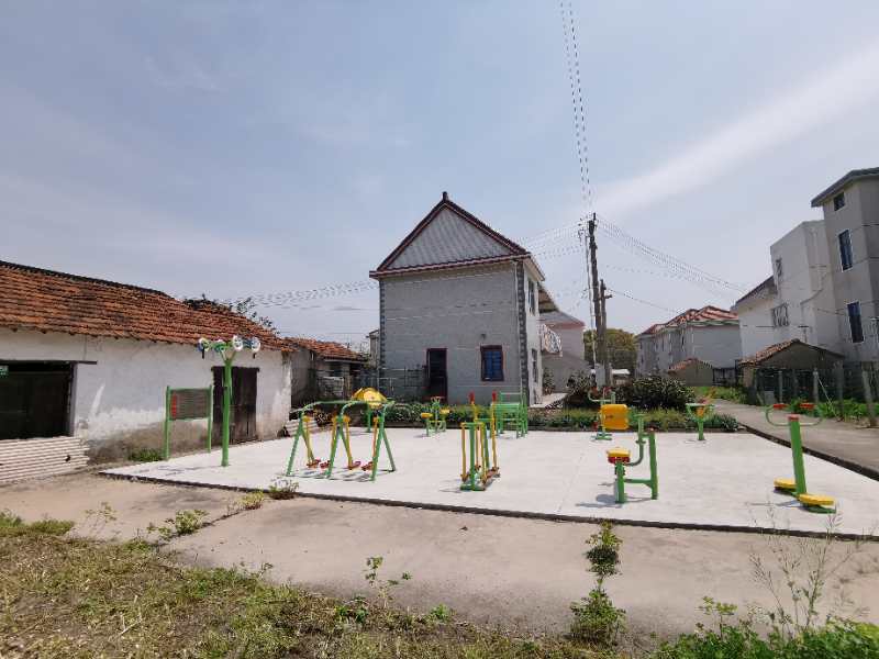 ����彡����