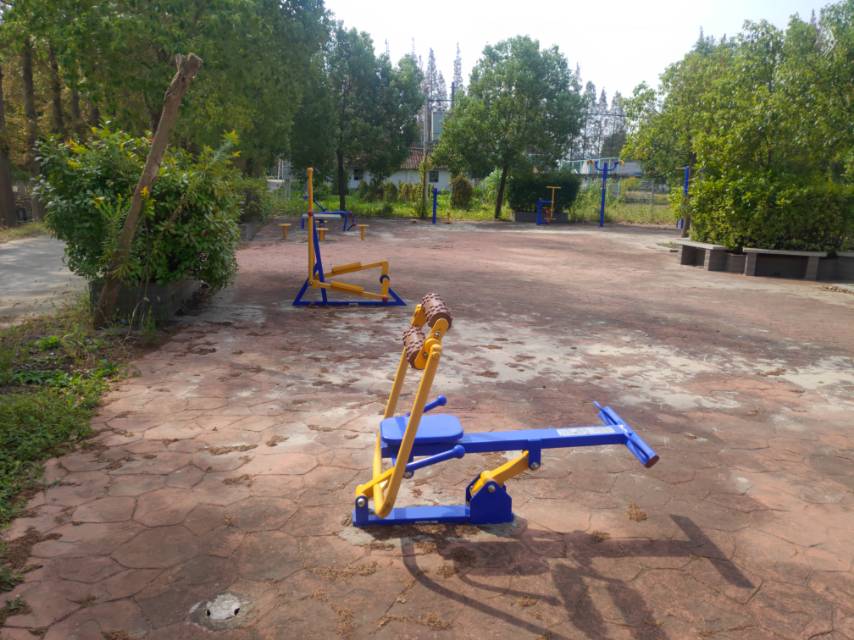 �º�������彡����