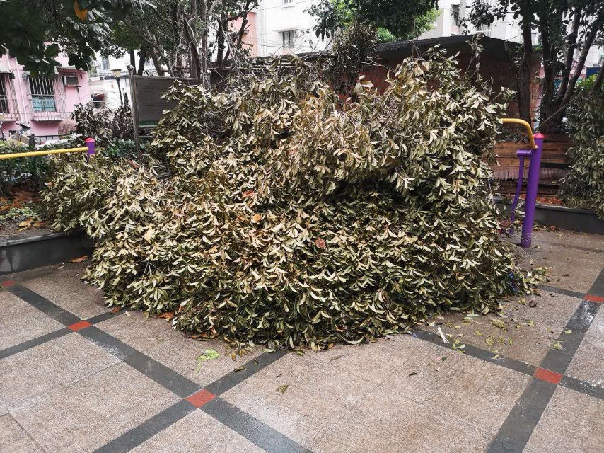 �����и۶����̵ؽ�����