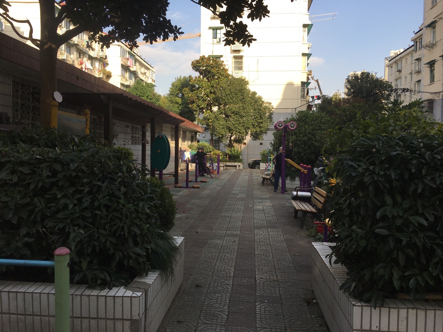 ����С��������