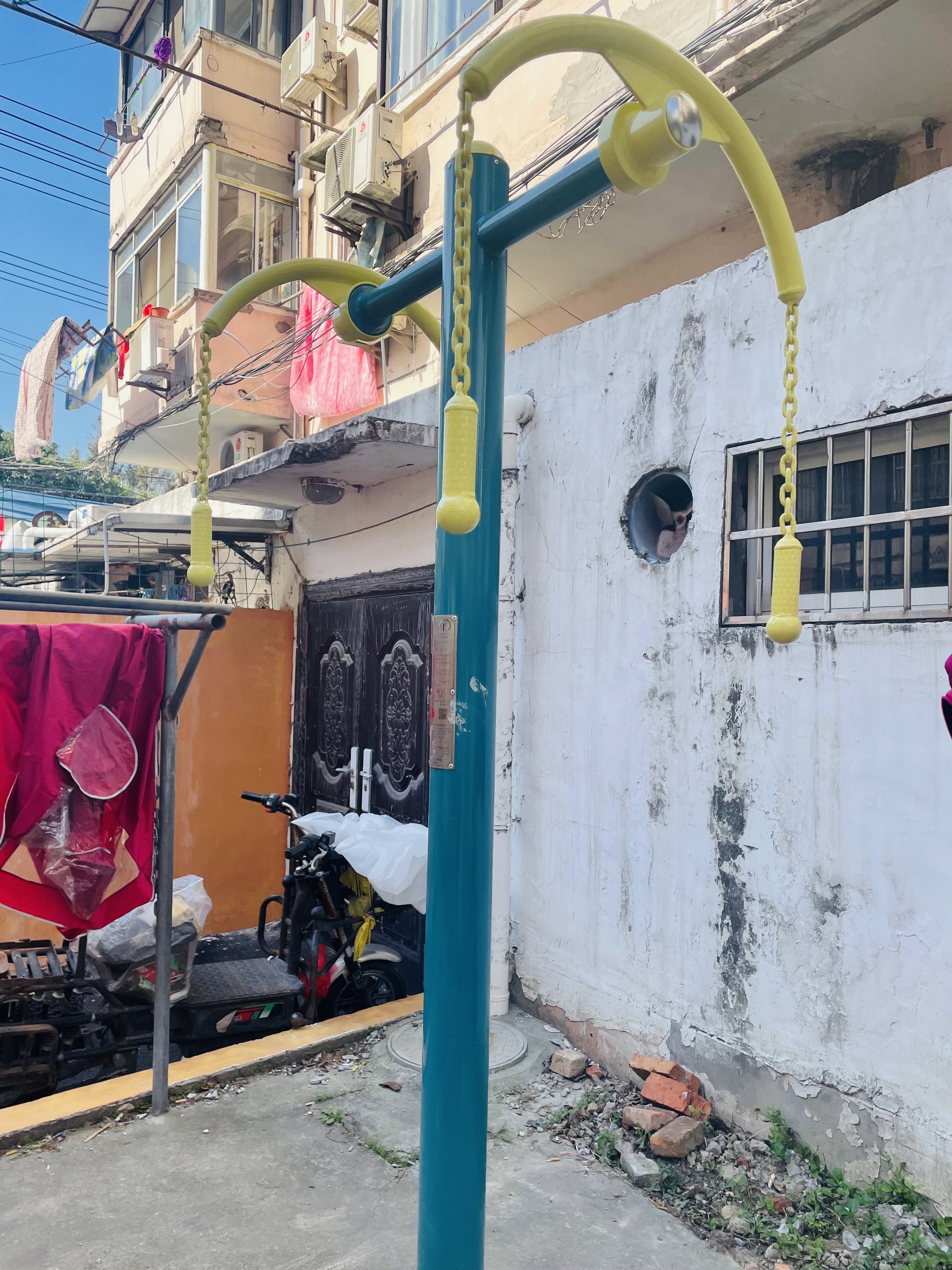 ��֫ǣ����