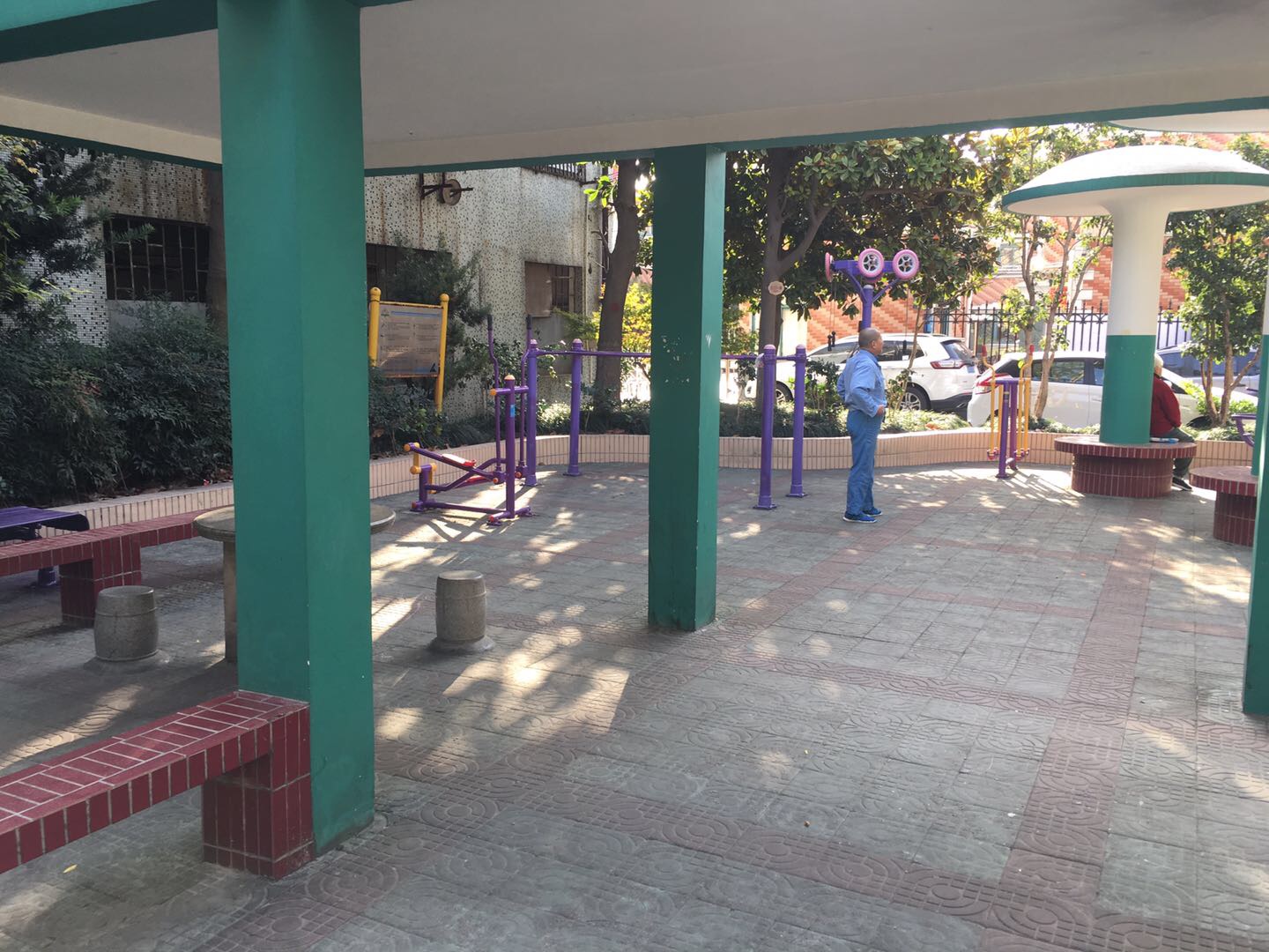 ���Ͼ�����������