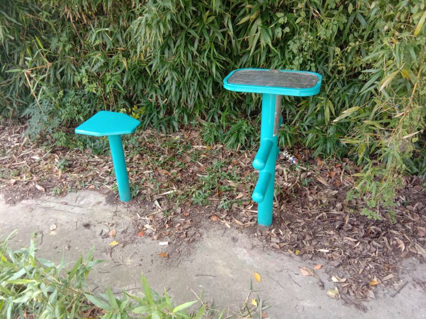 ����ѵ����