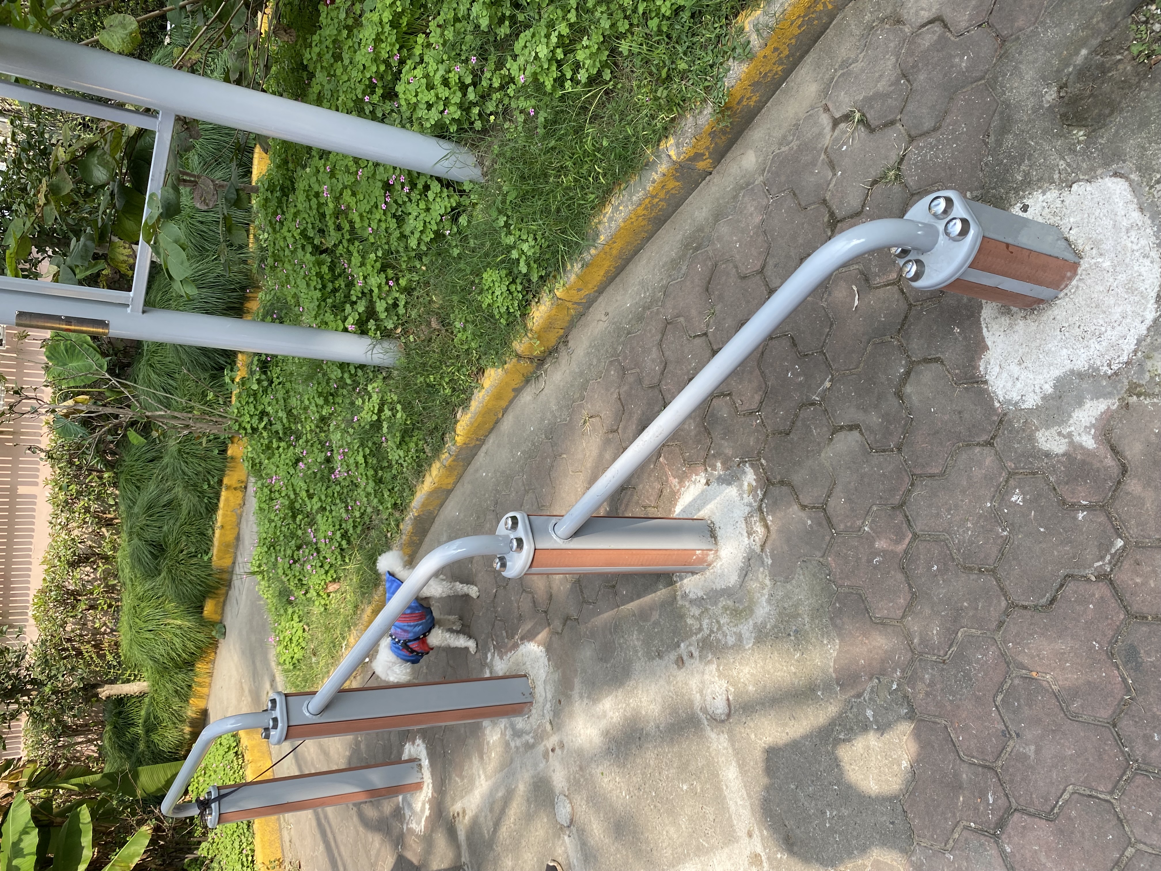 ����ѹ����