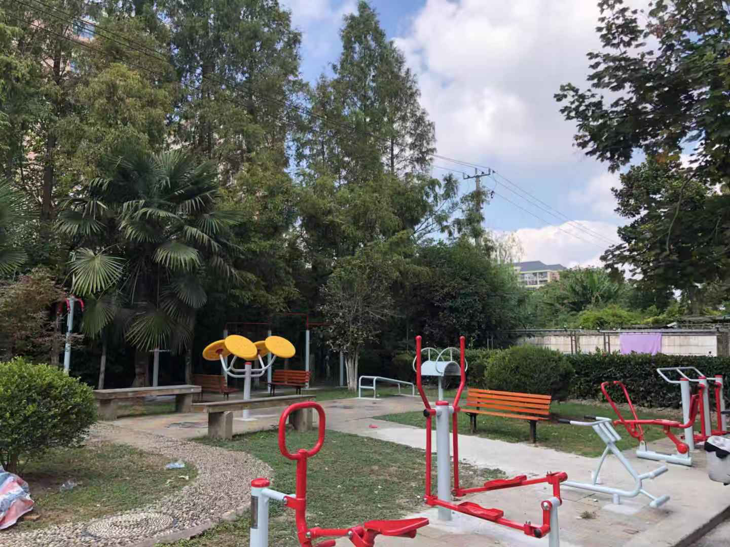 ������ί������