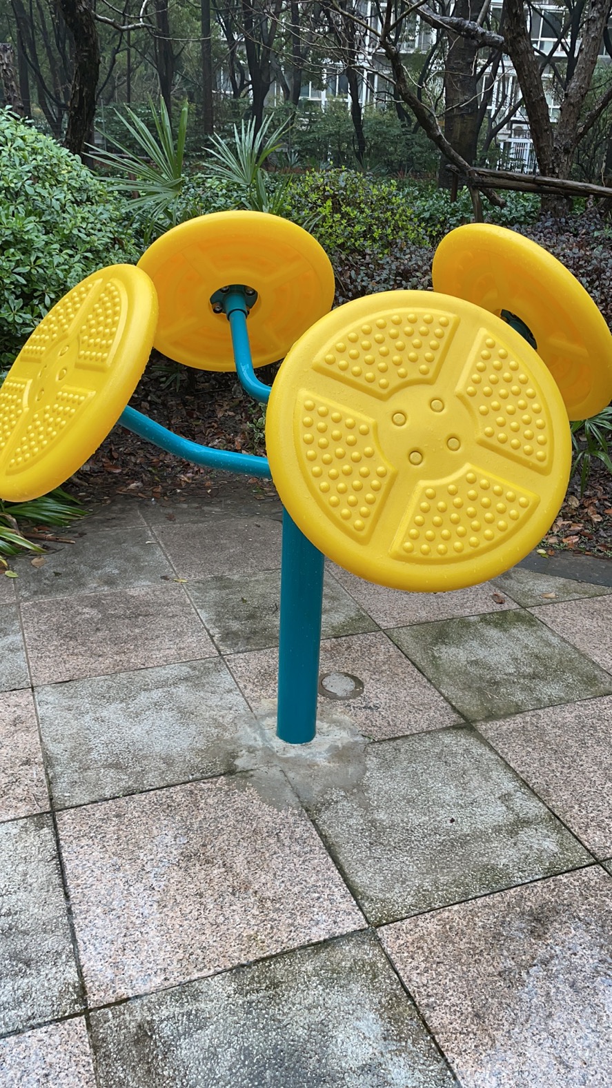 ����ѵ����