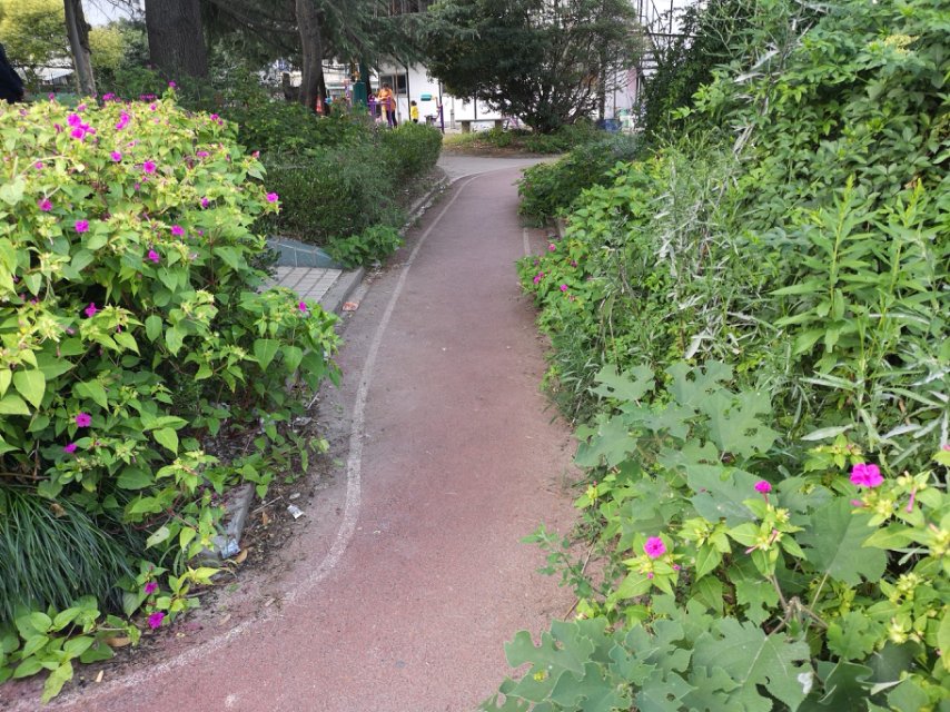 ���Ѹ�ۡ��ί����Է��C