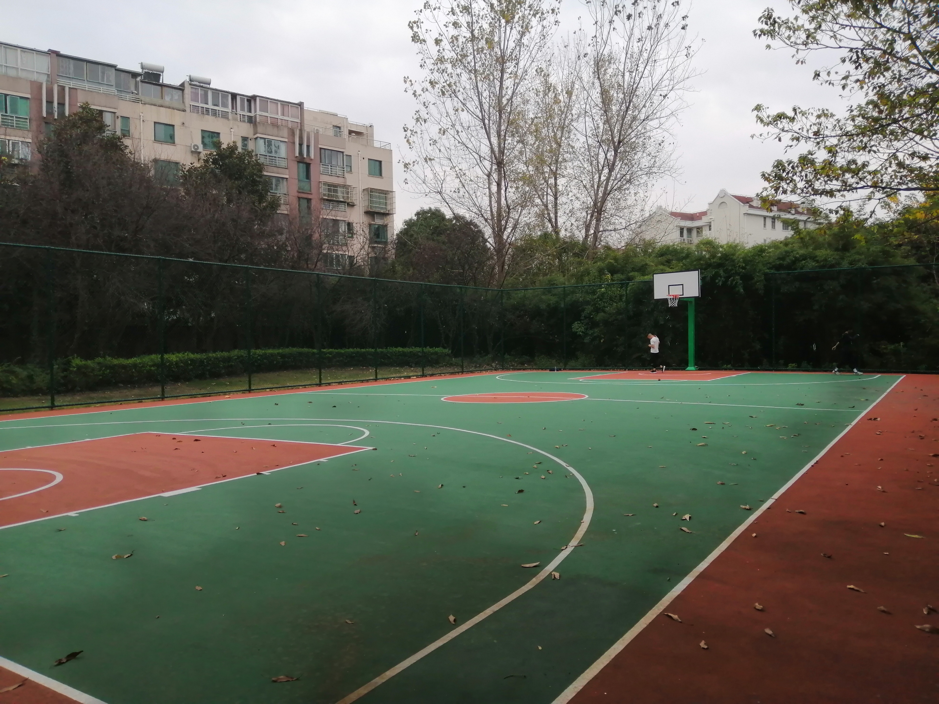 ����Է������