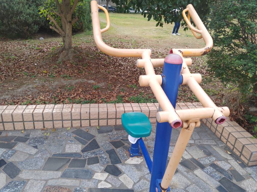 ��֫������