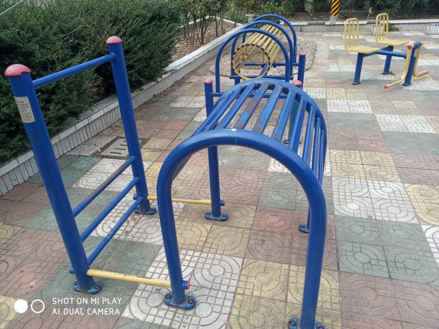 ������չѵ����