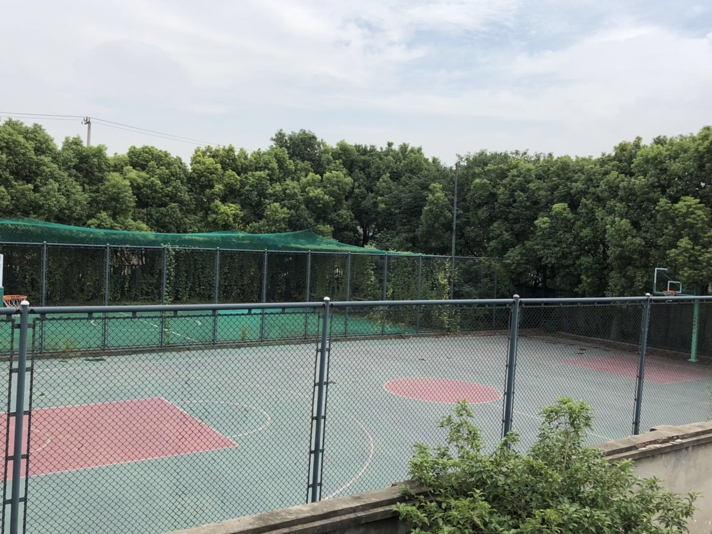 ��԰��������