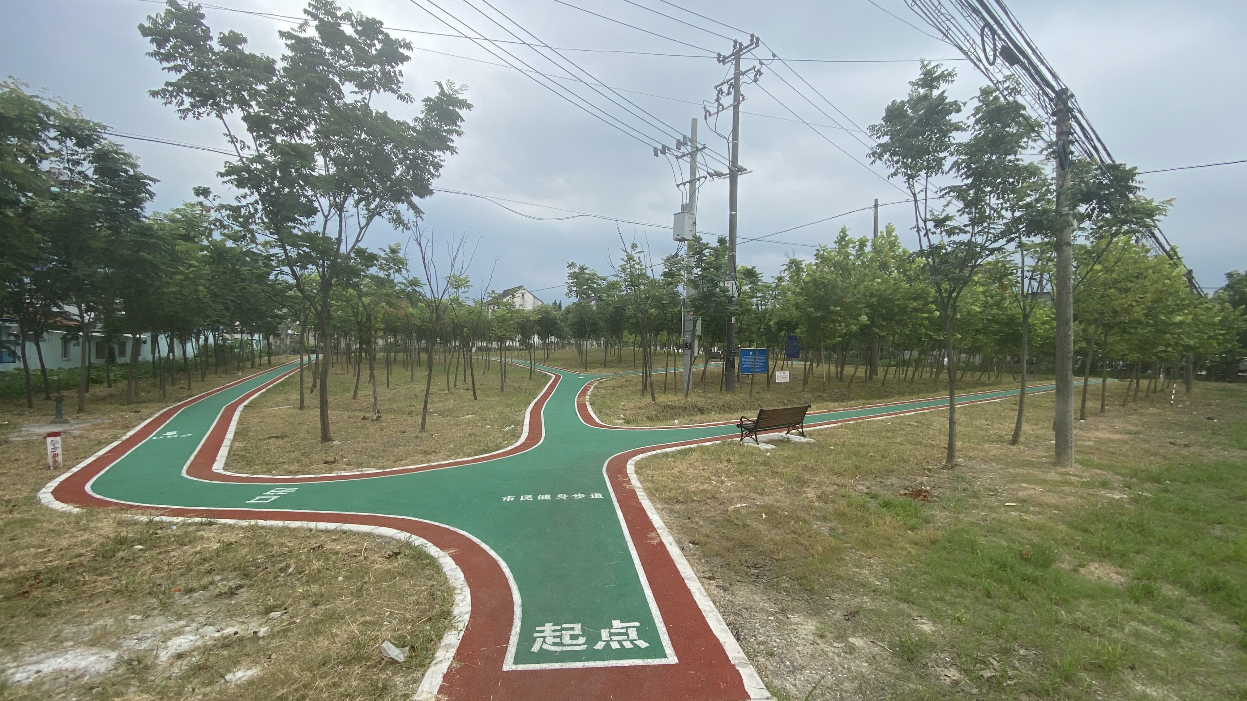 ͤ��������ʾ������������