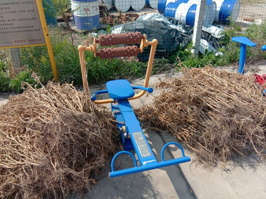 ��������ѵ����