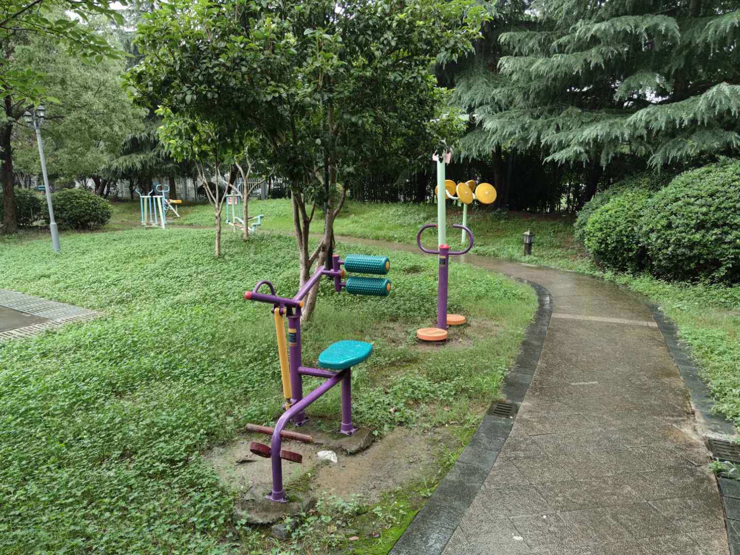 ������Է������2