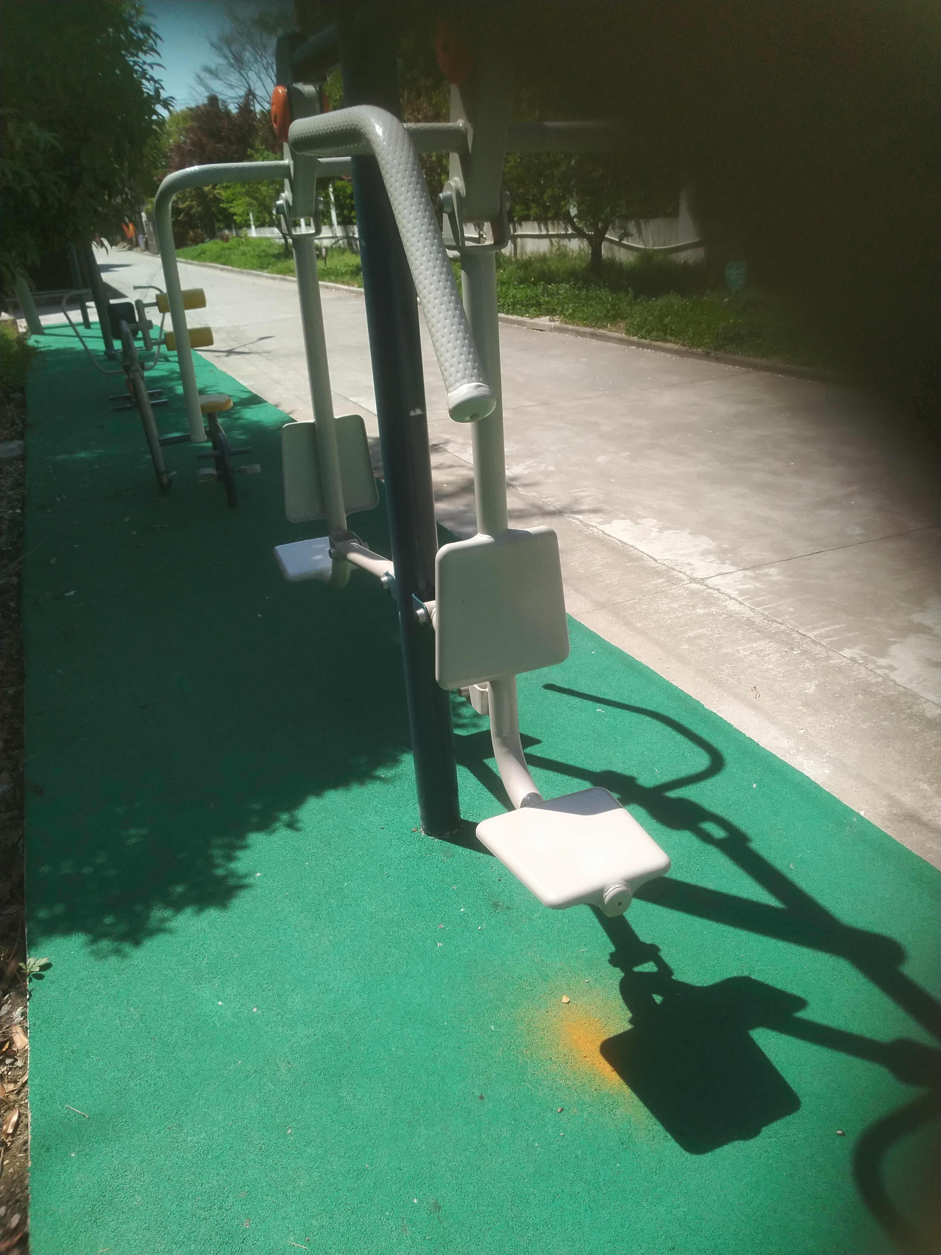 ����ѵ����