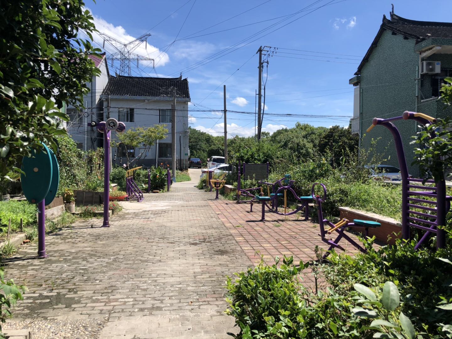 ������������ί������