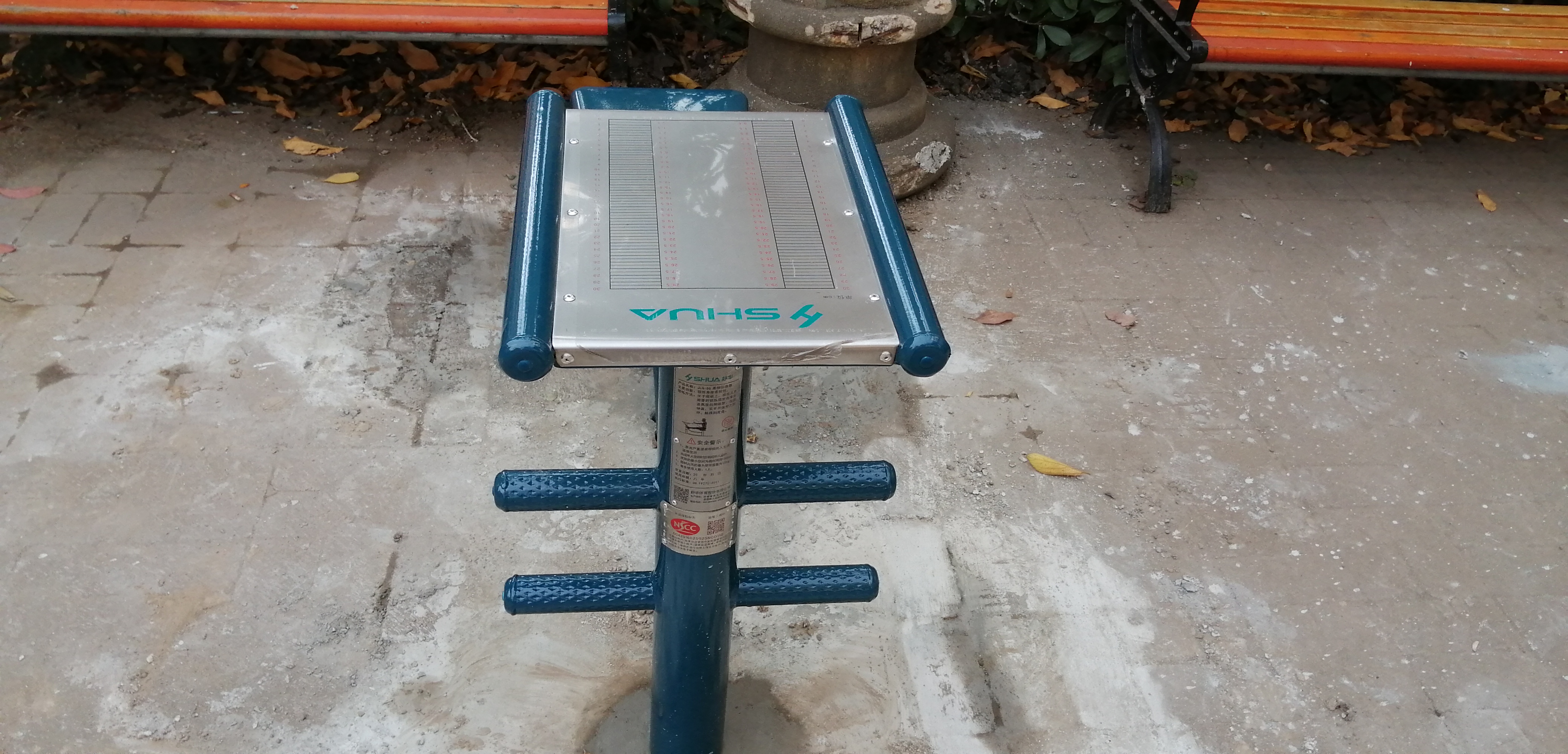 ����ѵ����