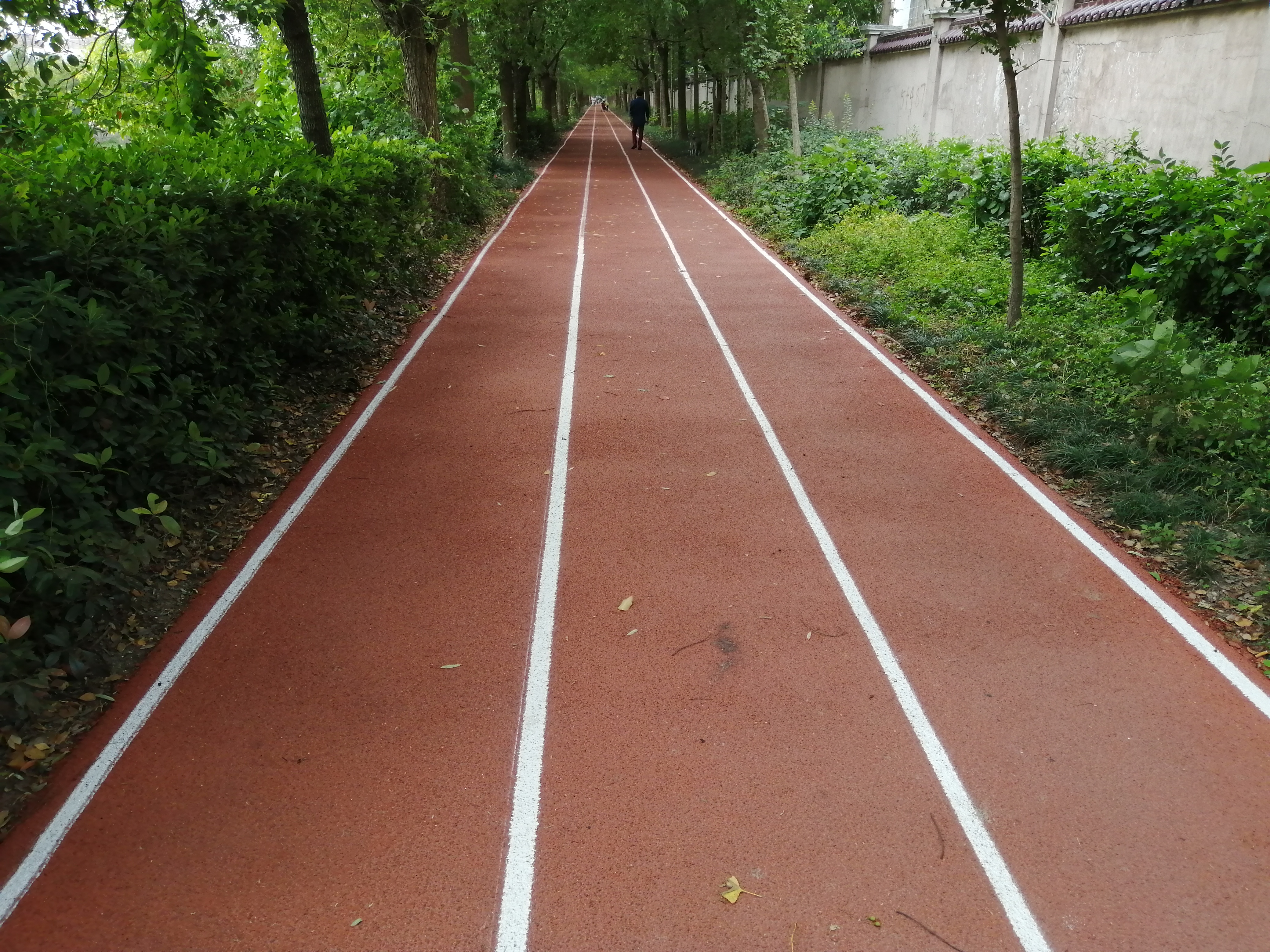 �º���ļ�լ������