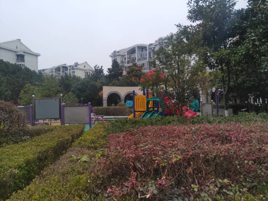 �º�����Ƕ���������