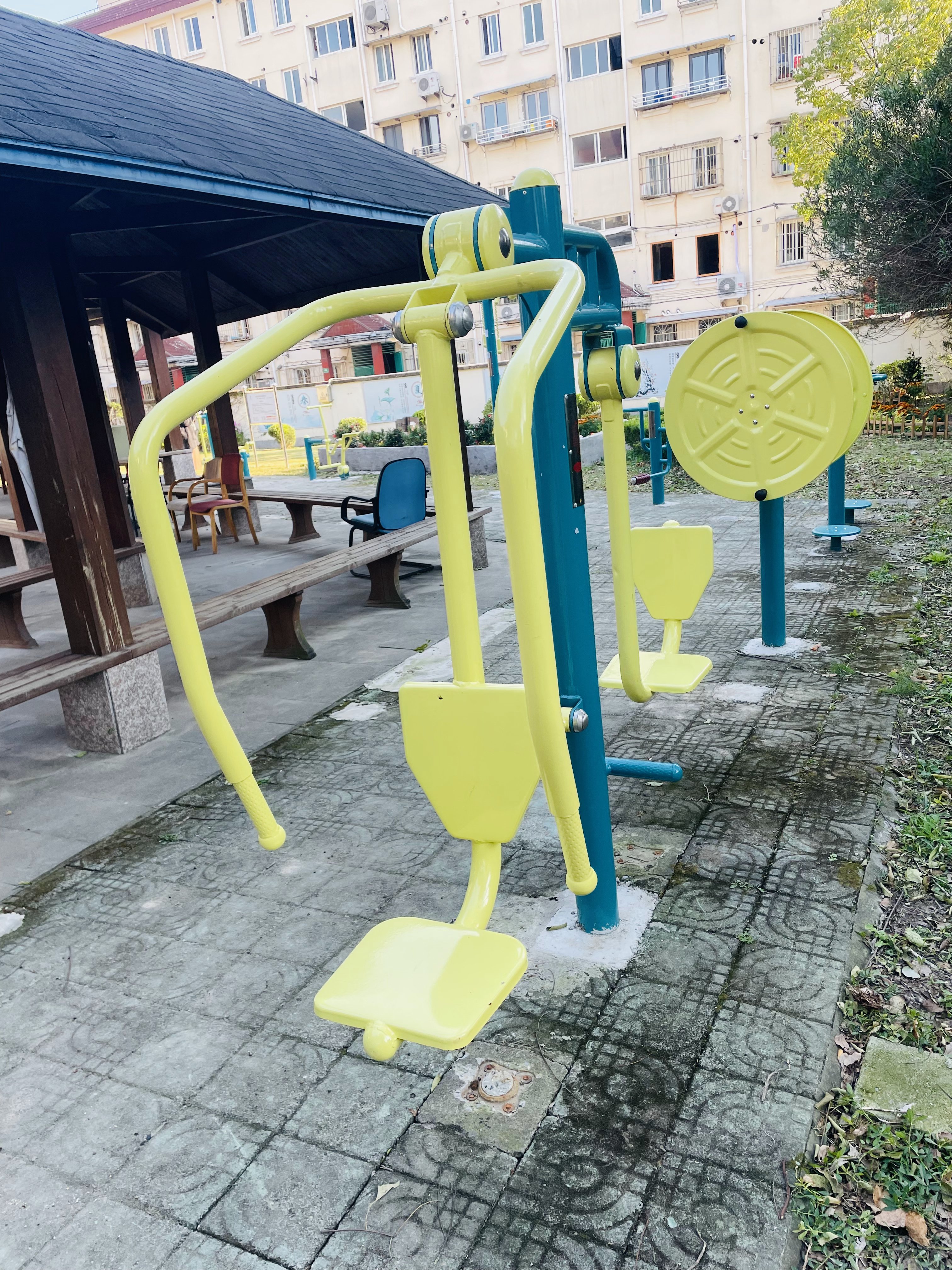 ����֫ѵ����