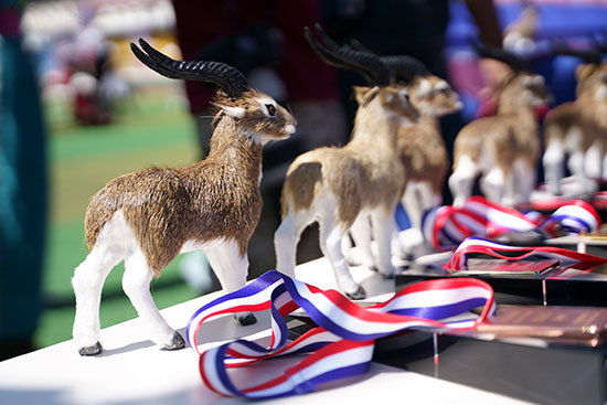 塑胶跑道 塑胶跑道