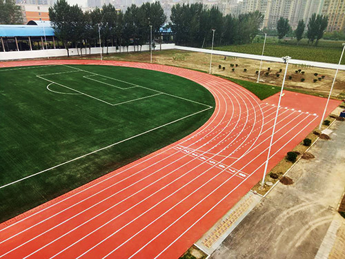 ���ϰ�������ѧУ