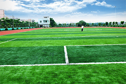 ��ѧ�ǹ�������ѧԺ