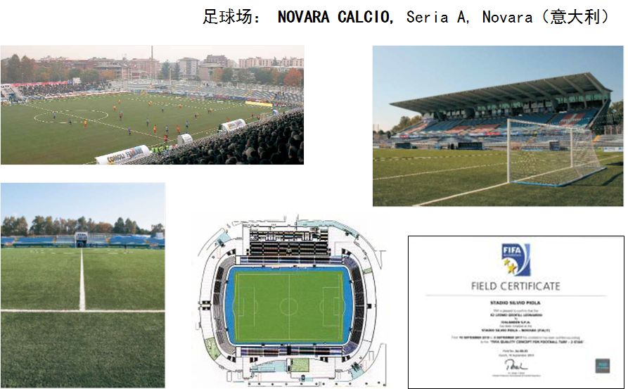 ���Novara���ֲ���ѵ������FIFA2��