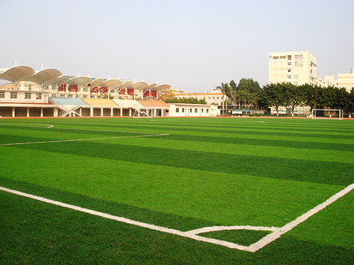 ���ݰ���ѧԺ