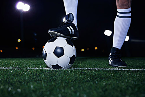 ɽ������ũҵ��ѧ