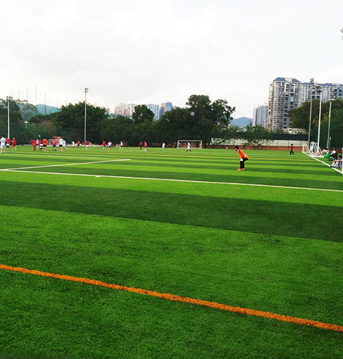 �㶫�������ۺ�����